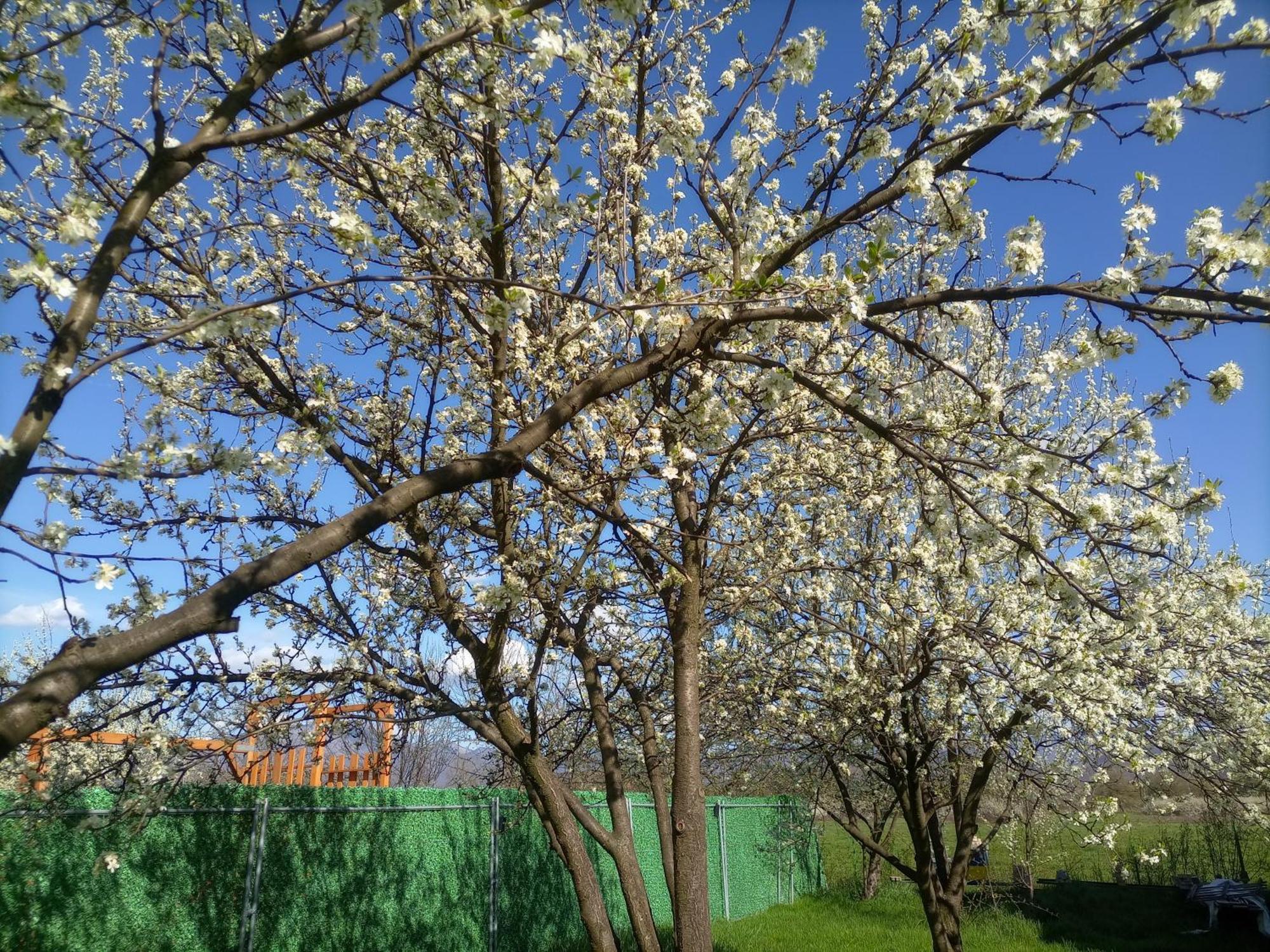 Nea Ilidza *
